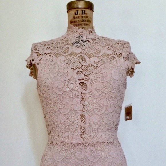 Nightcap nude lace dress with cap sleeves NWT - Picture 13 of 16